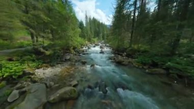 Ağaçlarla çevrili bir dağ nehrinin üzerinden hızla uçuyor. FPV insansız hava aracı ile vuruldu. Tatra Dağları, Slovakya. 