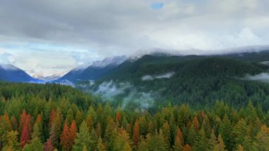 Sonbaharda çarpıcı dağ manzarasının havadan görünüşü. Ağaçlardaki ve dağlardaki parlak yapraklar kar ve bulutlarla kaplıdır. Vancouver, British Columbia, Kanada yakınlarında çekilmiş..