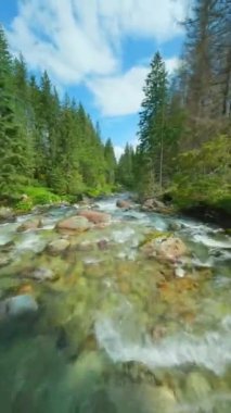 Ağaçlarla çevrili bir dağ nehrinin üzerinden hızla uçuyor. FPV insansız hava aracı ile vuruldu. Tatra Dağları, Slovakya. Dikey video