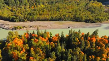 Kanada 'da göz kamaştırıcı sonbahar manzarası, British Columbia. Dağ yamaçlarındaki renkli ormanın ve vadideki nehrin havadan görünüşü