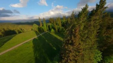 FPV insansız hava aracıyla yeşil vadinin üzerinden hızlı bir uçuş. Tantra 'nın güzel dağlarının ve etrafındaki manzaranın nefes kesici manzarası. Orman, çayırlar ve yeşil çimenler. Lapszanka, Tatra dağları, Polonya.
