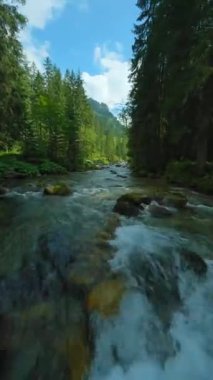 Ağaçlarla çevrili bir dağ nehrinin üzerinden hızla uçuyor. FPV insansız hava aracı ile vuruldu. Tatra Dağları, Slovakya. Dikey video