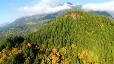 Kanada 'da göz kamaştırıcı sonbahar manzarası, British Columbia. Dağ yamaçlarındaki renkli ormanın ve bulutlu gökyüzünün havadan görünüşü. 
