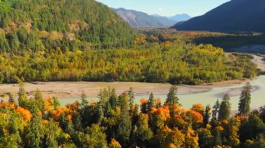 Kanada 'da göz kamaştırıcı sonbahar manzarası, British Columbia. Dağ yamaçlarındaki renkli ormanın ve vadideki nehrin havadan görünüşü