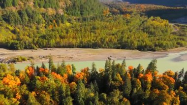 Kanada 'da göz kamaştırıcı sonbahar manzarası, British Columbia. Dağ yamaçlarındaki renkli ormanın ve vadideki nehrin havadan görünüşü