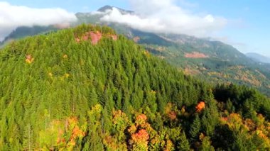 Kanada 'da göz kamaştırıcı sonbahar manzarası, British Columbia. Dağ yamaçlarındaki renkli ormanın ve bulutlu gökyüzünün havadan görünüşü. 