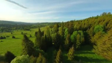 FPV insansız hava aracıyla yeşil vadinin üzerinden hızlı bir uçuş. Tantra 'nın güzel dağlarının ve etrafındaki manzaranın nefes kesici manzarası. Orman, çayırlar ve yeşil çimenler. Lapszanka, Tatra dağları, Polonya.