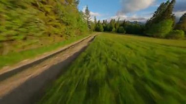 Tantra dağlarındaki yol boyunca nefes kesen çevik uçuş. Orman, çayırlar ve yeşil çimenler. Lapszanka, Tatra dağları, Polonya. FPV Drone 'da çekiliyor.