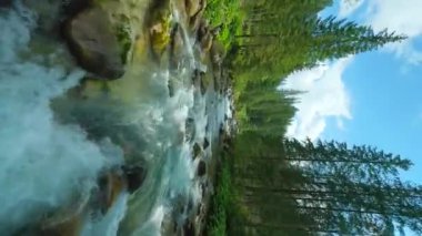 Ağaçlarla çevrili bir dağ nehrinin üzerinden hızla uçuyor. FPV insansız hava aracı ile vuruldu. Tatra Dağları, Slovakya. Dikey video