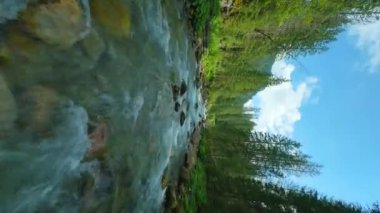 Ağaçlarla çevrili bir dağ nehrinin üzerinden hızla uçuyor. FPV insansız hava aracı ile vuruldu. Tatra Dağları, Slovakya. Dikey video