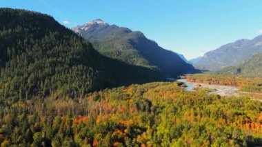 Kanada 'da göz kamaştırıcı sonbahar manzarası, British Columbia. Dağ yamaçlarındaki renkli ormanın ve vadideki nehrin havadan görünüşü