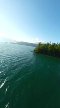 Kanada 'da göz kamaştırıcı sonbahar manzarası. Dağ yamaçlarındaki renkli ormanın havadan görünüşü ve Harrison Gölü, British Columbia. FPV insansız hava aracı tarafından çekildi.