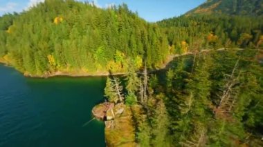 Kanada 'da göz kamaştırıcı sonbahar manzarası. Dağ yamaçlarındaki renkli ormanın havadan görünüşü ve Harrison Gölü, British Columbia. FPV insansız hava aracı tarafından çekildi.