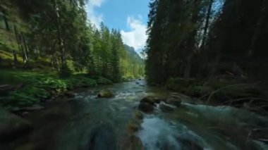Ağaçlarla çevrili bir dağ nehrinin üzerinden hızla uçuyor. FPV insansız hava aracı ile vuruldu. Tatra Dağları, Slovakya.