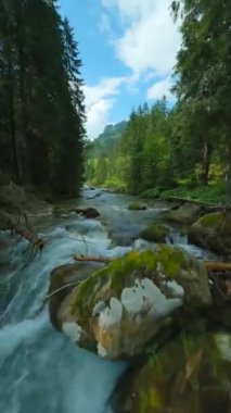 Ağaçlarla çevrili bir dağ nehrinin üzerinden hızla uçuyor. FPV insansız hava aracı ile vuruldu. Tatra Dağları, Slovakya. Dikey video