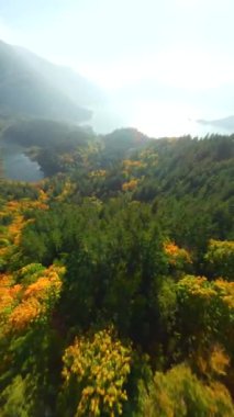 Kanada 'da göz kamaştırıcı sonbahar manzarası. Dağ yamaçlarındaki renkli ormanın havadan görünüşü ve Harrison Gölü, British Columbia. FPV insansız hava aracı tarafından çekildi.