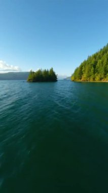 Kanada 'da göz kamaştırıcı sonbahar manzarası. Dağ yamaçlarındaki renkli ormanın havadan görünüşü ve Harrison Gölü, British Columbia. FPV insansız hava aracı tarafından çekildi.