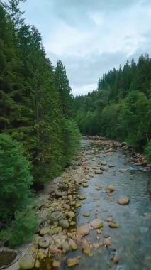 Büyük taşların arasında akan ve kıyılarda ağaçlarla çevrili bir dağ nehrinin üzerinden hızlı bir uçuş. Vancouver, British Columbia, Kanada. POV FPV insansız hava aracı ile filme alındı.