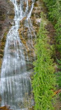 Güzel şelalenin hava manzarası - Gelin Şelalesi İl Parkı, Chilliwack, Britanya Kolumbiyası, Kanada. 