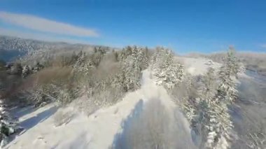 Kış dağı manzarası. Dağ yamaçlarındaki buzlu orman el değmemiş karla kaplanmış. Polonya 'daki Pieniny Ulusal Parkı' ndaki hava görüntüsü FPV insansız hava aracı tarafından çekildi.