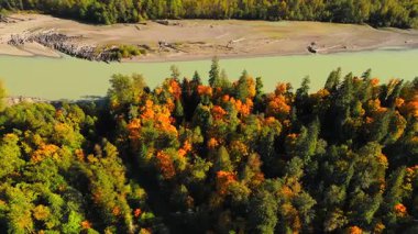 Kanada 'da göz kamaştırıcı sonbahar manzarası, British Columbia. Dağ yamaçlarındaki renkli ormanın ve vadideki nehrin havadan görünüşü