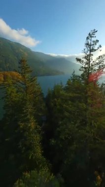 Kanada 'da göz kamaştırıcı sonbahar manzarası. Dağ yamaçlarındaki renkli ormanın havadan görünüşü ve Harrison Gölü, British Columbia. FPV insansız hava aracı tarafından çekildi.