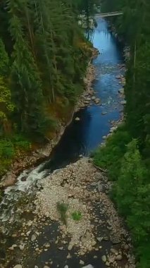 Büyük taşların arasında akan ve kıyılarda ağaçlarla çevrili bir dağ nehrinin üzerinden hızlı bir uçuş. Vancouver, British Columbia, Kanada. POV FPV insansız hava aracı ile filme alındı.