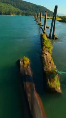 Fraser nehir vadisi ve Kanada 'nın Britanya Kolumbiyası' ndaki dağ manzarası. POV FPV insansız hava aracı ile filme alındı.