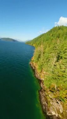 Kanada 'da göz kamaştırıcı sonbahar manzarası. Dağ yamaçlarındaki renkli ormanın havadan görünüşü ve Harrison Gölü, British Columbia. FPV insansız hava aracı tarafından çekildi.