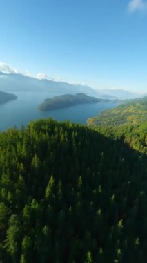 Kanada 'da göz kamaştırıcı sonbahar manzarası. Dağ yamaçlarındaki renkli ormanın havadan görünüşü ve Harrison Gölü, British Columbia. FPV insansız hava aracı tarafından çekildi.