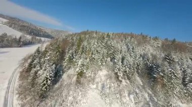 Kış dağı manzarası. Dağ yamaçlarındaki buzlu orman el değmemiş karla kaplanmış. Polonya 'daki Pieniny Ulusal Parkı' ndaki hava görüntüsü FPV insansız hava aracı tarafından çekildi.