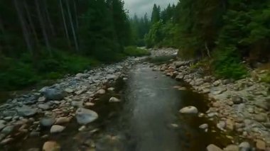 Büyük taşların arasında akan ve kıyılarda ağaçlarla çevrili bir dağ nehrinin üzerinden hızlı bir uçuş. Vancouver, British Columbia, Kanada. POV FPV insansız hava aracı ile filme alındı.