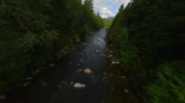 FPV insansız hava aracıyla büyük taşların arasında akan ve kıyılarda ağaçlarla çevrili bir dağ nehri üzerinde hızlı bir uçuş. Vancouver, British Columbia, Kanada. 