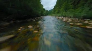 Büyük taşların arasında akan ve kıyılarda ağaçlarla çevrili bir dağ nehrinin üzerinden hızlı bir uçuş. Vancouver, British Columbia, Kanada. POV FPV insansız hava aracı ile filme alındı.