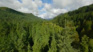 FPV insansız hava aracıyla kaplı dağ yamacının üzerinden manevra yapılabilir uçuş. Vancouver, British Columbia, Kanada yakınlarında çekilmiş.. 