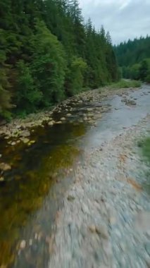 Dikey video. Büyük taşların arasında akan ve kıyılarda ağaçlarla çevrili bir dağ nehrinin üzerinden hızlı bir uçuş. Vancouver, British Columbia, Kanada. POV FPV insansız hava aracı ile filme alındı.