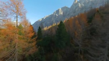FPV insansız hava aracı ağaç tepelerine yakın uçuyor ve Lago di Sorapis: Dolomitlerdeki Turkuaz Dağı Gölü, İtalya.