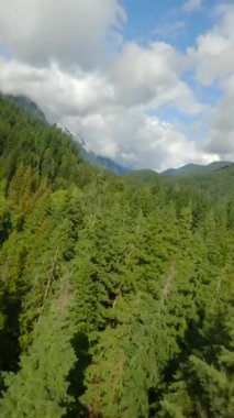 FPV insansız hava aracıyla dağ manzarası ve nehir üzerinde hızlı bir uçuş. Büyük taşların arasında akıyor ve kıyılarda ağaçlarla çevrili. Vancouver, British Columbia, Kanada. 