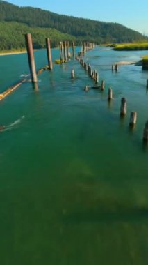 Fraser nehir vadisi ve Kanada 'nın Britanya Kolumbiyası' ndaki dağ manzarası. POV FPV insansız hava aracı ile filme alındı.