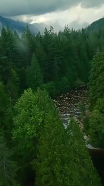 Büyük taşların arasında akan ve yağmurdan sonra kıyılarda ağaçlarla çevrili bir dağ nehri üzerinde hızlı bir uçuş. Vancouver, British Columbia, Kanada. POV FPV insansız hava aracı ile filme alındı.
