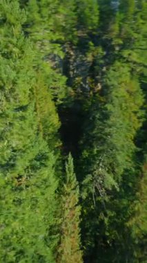 Brandywine Falls 'un FPV İHA' yla çekilmiş olağandışı hava görüntüsü. Hızlı manevra uçuşu. Whistler yakınlarında, Vancouver 'ın kuzeyi, British Columbia, Kanada. 