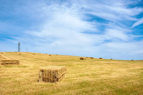 View Field Hillside Hay Bales Tower Shropshire England — Stock Photo, Image
