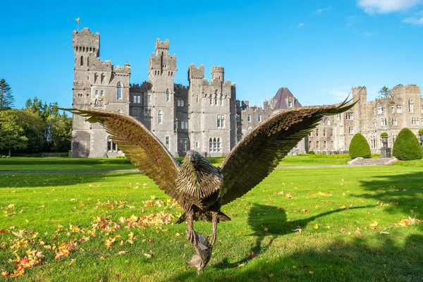 Aigle Bronze Dans Cour Château Ashford Cong Comté Mayo Irlande — Photo
