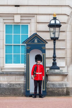 Londra, İngiltere - 16 Ekim 2022: Buckingham Sarayı 'nda nöbet tutan Galli muhafız