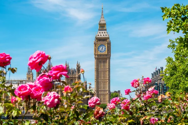 Widok Wieżę Zegarową Big Ben Nad Kwiatami Przeciwległym Brzegu Rzeki — Zdjęcie stockowe