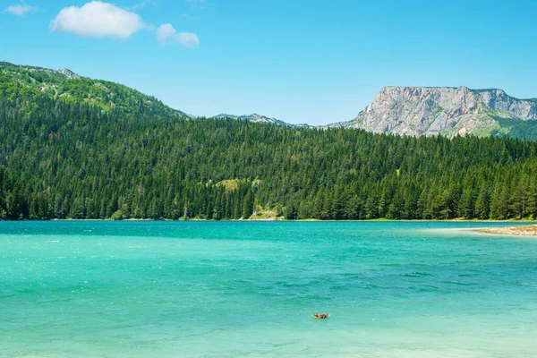 Turquoise Water Black Lake Crno Jezero Durmitor National Park Zabljak — Stock Photo, Image