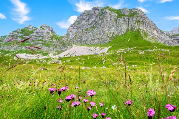 Durmitor Ulusal Parkı Ndaki Dağ Manzarası Karadağ — Stok fotoğraf