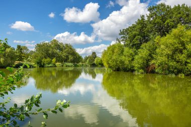 Clapham Parkı 'ndaki Mount Pond' un rıhtımı. Londra mı? İngiltere, İngiltere