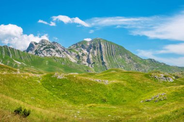Durmitor Milli Parkı 'ndaki Gruta ve Prutas dağlarıyla doğal manzara. Karadağ