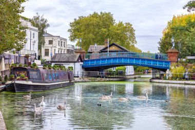 Little Venice bölgesindeki Regent Kanalı 'nda tekne ve kuğular var. Londra, İngiltere